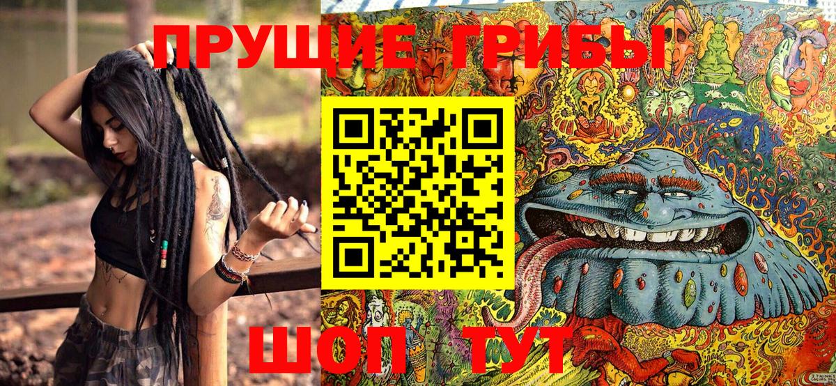 Чернушка  Псилоцибиновые грибы Psilocybe  Галлюциногенные грибы Cubensis  Вход с VPN 